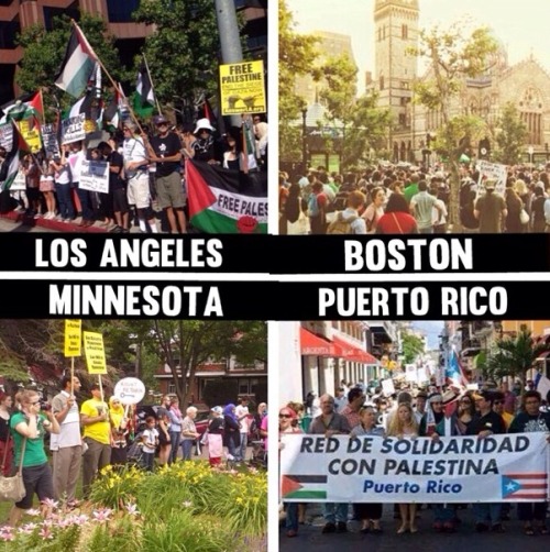 tsamthepoet:The world stands with Palestine.