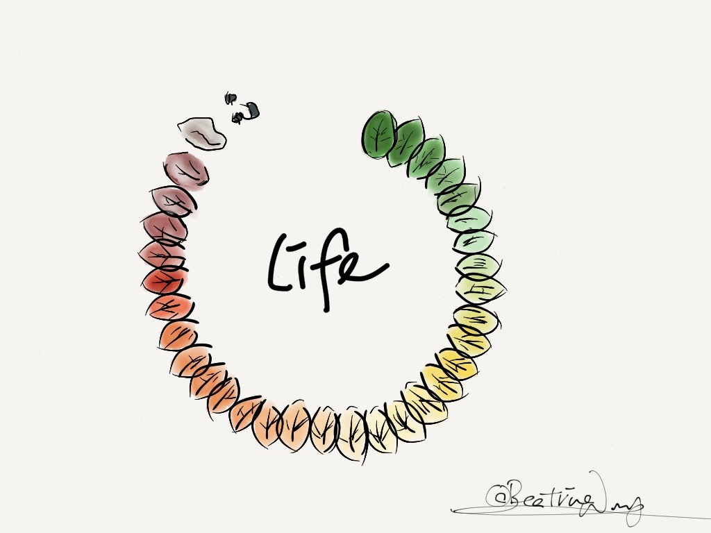 madewithpaper:  Made wtih Paper by beatricewong | Complete the circle on Mix 