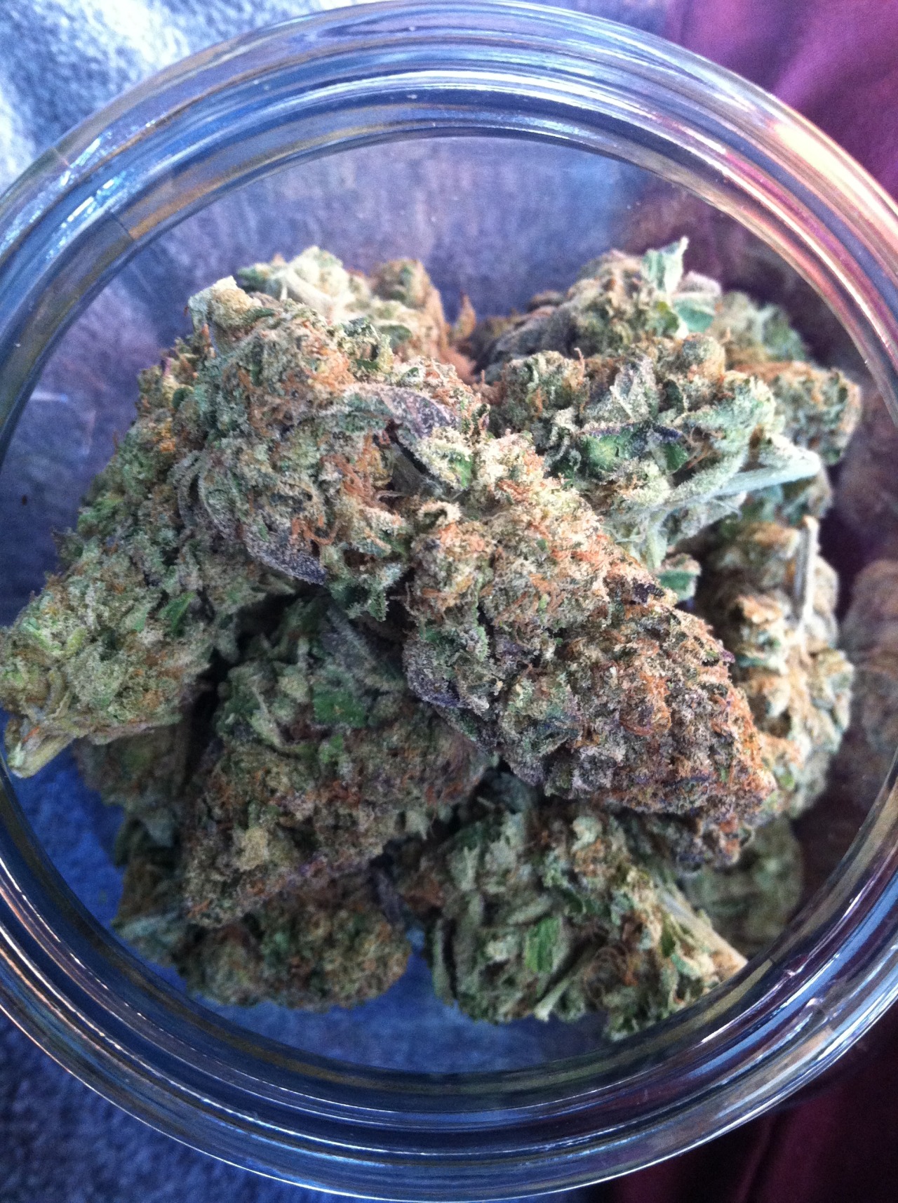 imlosingtouchwithreality:  imlosingtouchwithreality:  East coast grown GSC (Girl