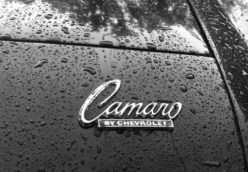 musclecarinstant:   forever C.A