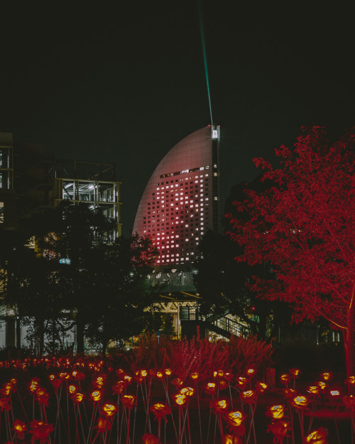 Just SYNC Yokohama“Night Sync Yokohama”, held from November 1st to December 27th 2019 at Minatomirai