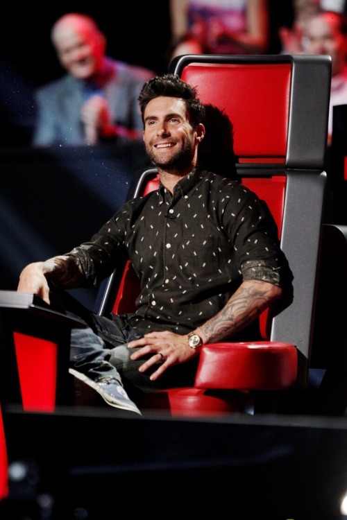  Adam Levine ♥ Tumblr_newiqvVIDt1rd0e6eo1_500