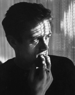 dicaprio-diaries:  James Dean photographed