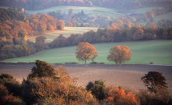 pagewoman:  View from Newlands Corner, Surrey,