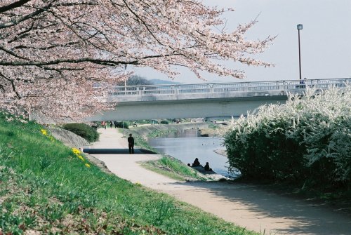 zyu10: Kyoto, Japan, 2015