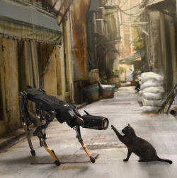 native-voyage: niconavarro: Woops! Who are you? Robot cat meets real cat 