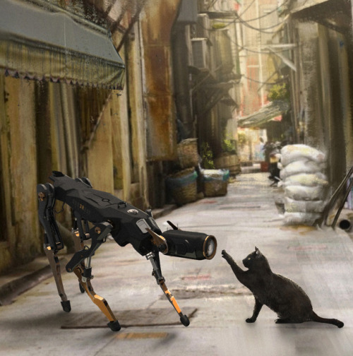 native-voyage:niconavarro:Woops! Who are you?Robot cat meets real cat