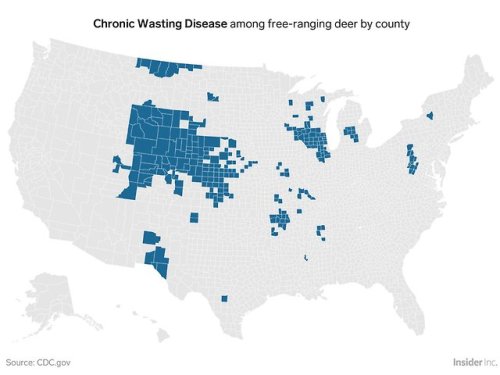 ‘Zombie deer disease’ has now hit 24 US states. You could be eating infected meat withou