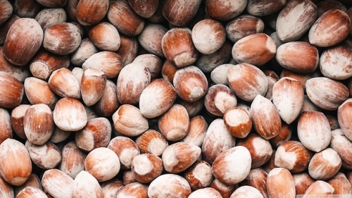 Hazelnuts