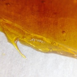 weedporndaily:  Master Yoda Shatter by dabbnerrl http://ift.tt/1mmVIdq