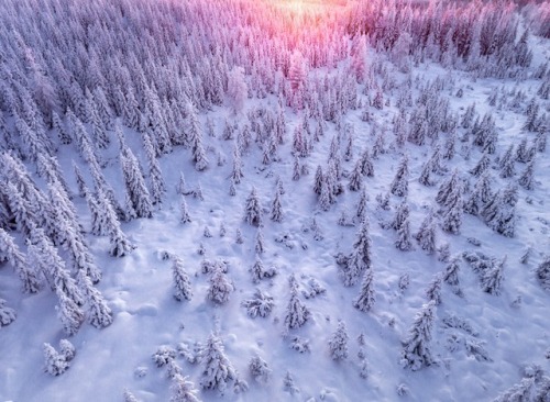 landscape-photo-graphy:Gorgeous &amp; Ethereal Aerial Photographs of a Snowy Forest in Finland b