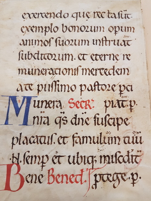 Ms. Coll. 591 Folder 36 - Pontifical BifoliumThis bifolium (two sheets of parchment folded toge
