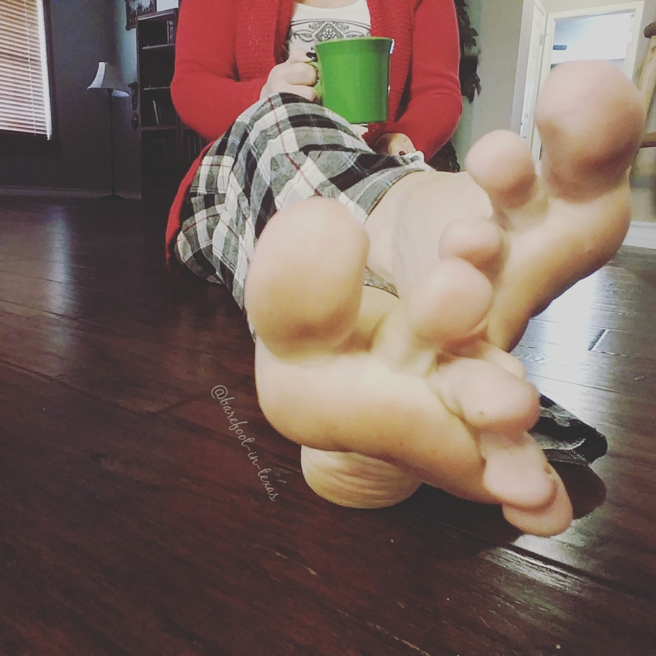 barefoot-in-texas:  what are your plans today?
