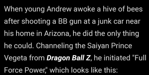 megapope:the idea of some dipshit kid out in arizona aimlessly shooting at an abandoned car full of bees and trying to go super saiyan when they attack him is just… so good