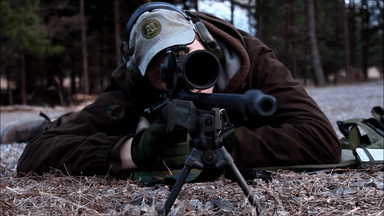 gunrunnerhell:  Accuracy International AW .308
