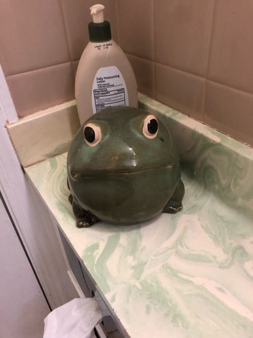 kewlaidbih:  a rating of all the frogs in my neighbors’ frog-themed bathroom very round and good! his face shows an emotion that i can’t quite describe. 10/10 here we have an arts and crafts frog! he has a nice figure but his lack of eyes is unsettling.