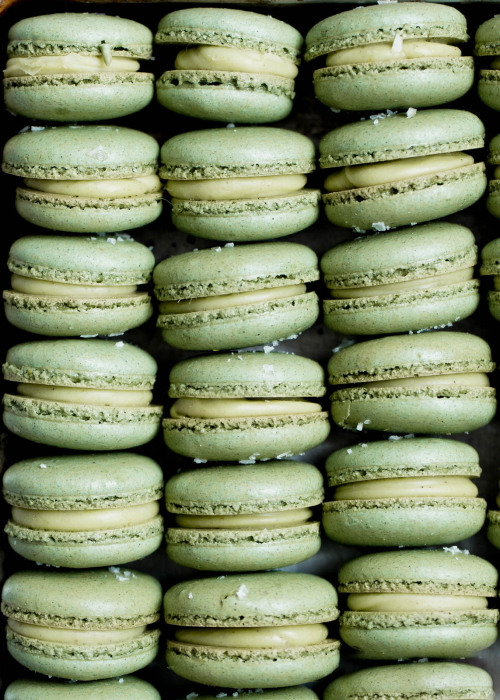 sweetoothgirl:all the macarons please  (recipes 1, 2, 3, 4, 5, 6, 7, 8, 9, 10) YesYesYesYesYesY