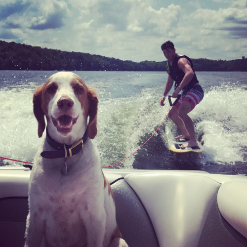 Matt Duchene wakeboarding while his dog, Paisley, sits in the boat(Source: instagram.com/matt9duchen