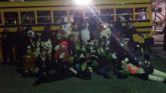 gamma-the-penguin:  needlekind:  needlekind:  needlekind:  WE WENT BOWLING AFTER DINNER FOR MY BIRTHDAY AND THERE WERE LIKE FORTY FURRIES THERE DOING, LIKE, SOMETHING OR ANOTHER I DON’T EVEN KNOW BUT THEY WERE BOWLING IN THEIR FURSUITS AND DOING VERY