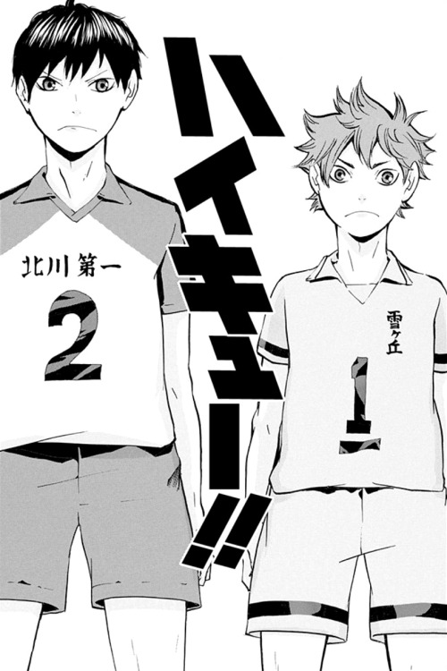 pigeonboyfriend:  Haikyuu!! Volumes 1-9 → Bonus Illustrations 