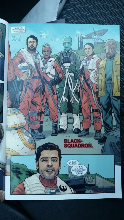 Finally got my copy of the first issue of the Poe Dameron comic. I am THRILLED. I grabbed the varian