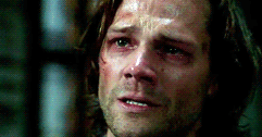 finifugitive:  log on tumblr  log off tumblr   