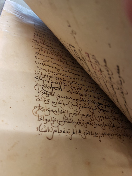 LJS 481 -[Ḥaṭṭ al-niqāb ʻan wujūh aʻmāl al-ḥisāb]This manuscript features a commentary on th