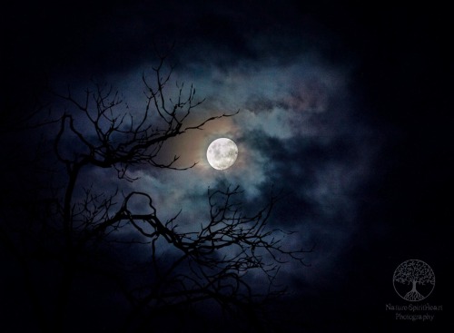 naturespiritheart:Mysterious Moon