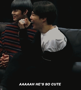 Shy Shy Shy