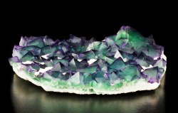 bijoux-et-mineraux:  Octahedral Green and Purple Fluorite - China 