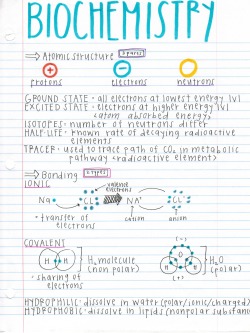 darwinsgirlfriend:  notes off the barron’s ap biology book, a more condensed form compared to my other notes. also a major throwback because i made these the summer before school even started wow i’m such a nerd. 