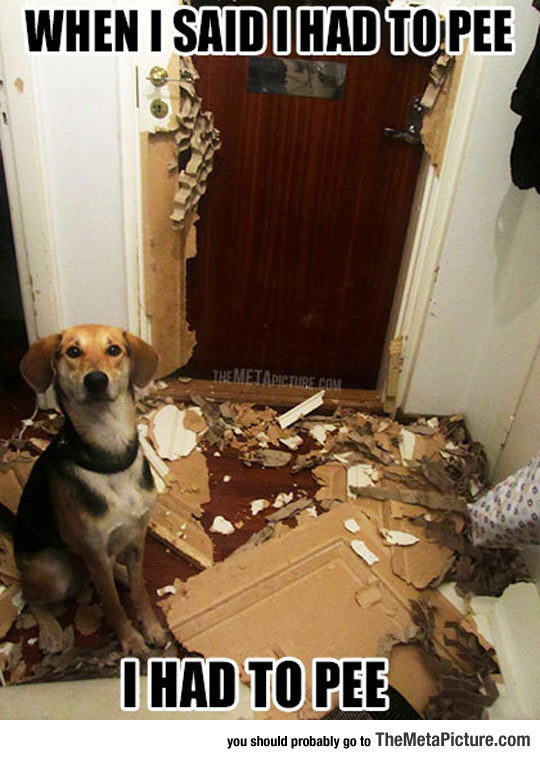 thingsmakemelaughoutloud:  You Should Have Listened When I Mentioned It- Funny and