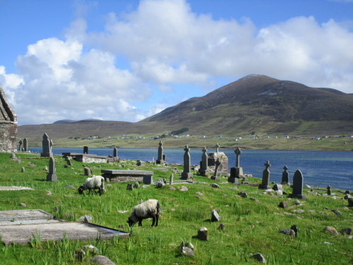 dancing-on-the-graveyard: Admit it, petting sheep and walking on a graveyard is a good combination!