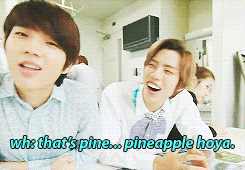 yuu-n:  the birth of infinite members by the name ‘jungle law’ and ‘pineapple hoya’ 