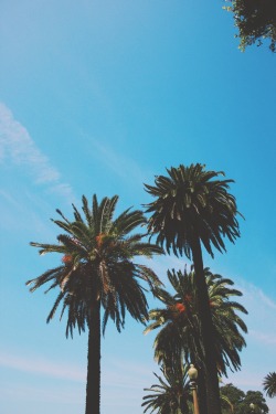 iammrbillabong:  California 