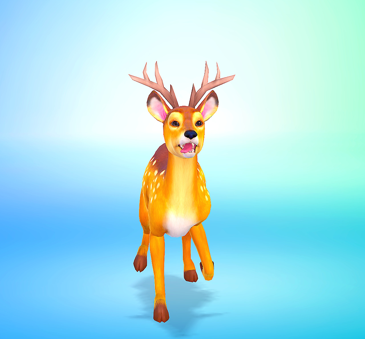nolween-sims:  Yes new accessorize !!! 