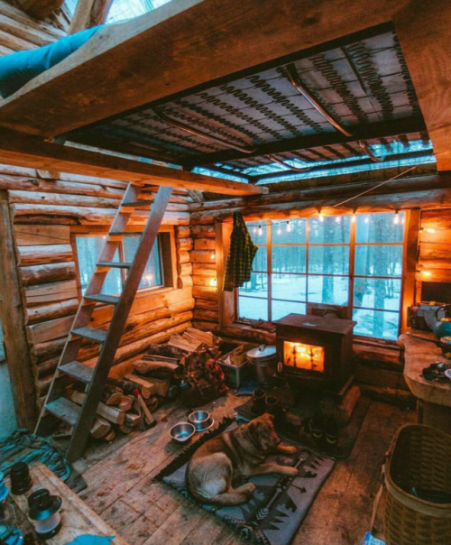 interior-design-home: Log cabin