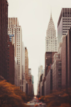 ilaurens:  Fall on 42nd Street - By: (IrenaS)