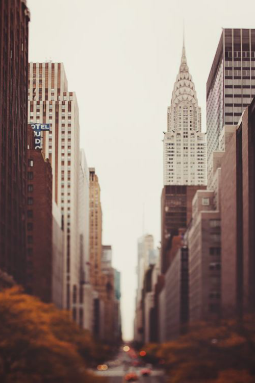ilaurens:  Fall on 42nd Street - By: (IrenaS)  more here