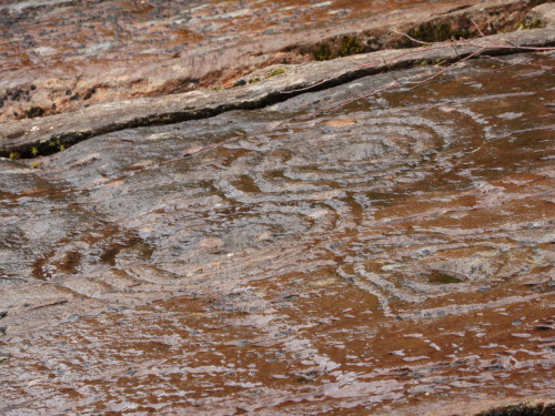 Achnabreck Rock Art, Argyll, Scotland, 25.7.16. A second visit to Kilmartin Glen provided me with so