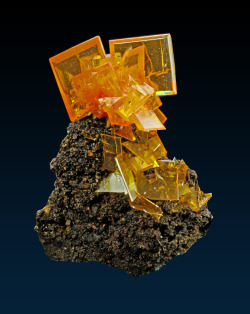 fuckyeahmineralogy:  Wulfenite; 79 Mine, Arizona