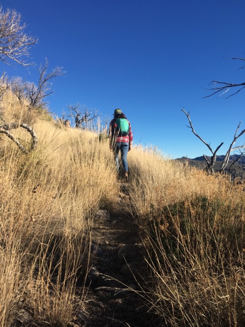 thetwigandthetamarack:Chiricahua National Monument || Willcox, AZ || january 8, 2017