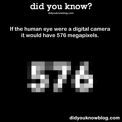 did-you-kno:  Source