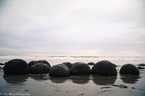 Moeraki BouldersNew Zealand