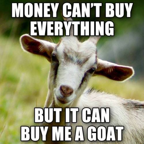 babygoatsandfriends:true!!!YOU THINK YOU ARE BUYING GOATBUT U ARE ONLY BUYING YOUR OWN DEMISE