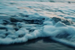 sydneynoellephoto:  motion of the ocean