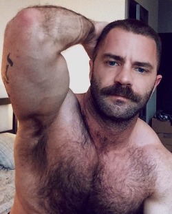 Follow my two hairy men blogs:http://sambrcln.tumblr.comhttp://hairysex.tumblr.com