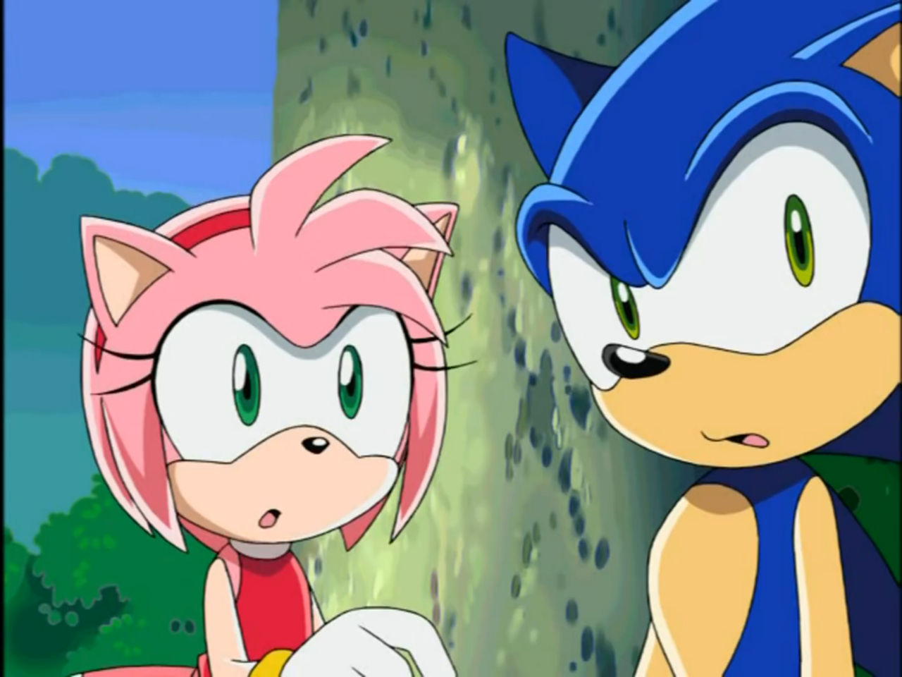 Sonic And Amy Hugging Sonic X