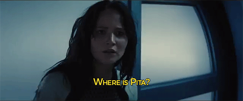 sizvideos:  Katniss is really in love with Pita - watch this hilarious video 