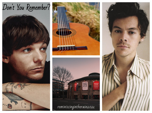 reminiscingintherain: Don’t You Remember? by reminiscingintherainHarry/Louis  |  M  |  12.3kHarry sl